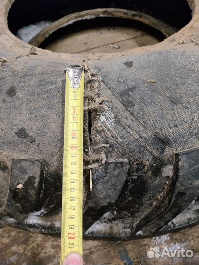 Ободрыши для караката