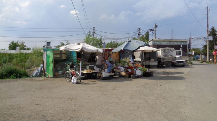 Участок 4 сот. (СНТ, ДНП)