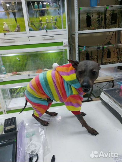 Одежда для собак и кошек