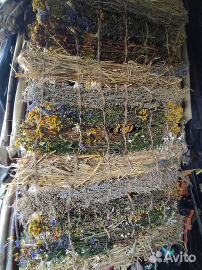 Запарка для бани