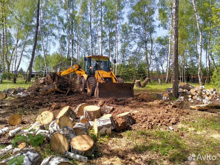 Расчистка участка. От деревьев, поросли, травы