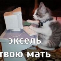 Создаю Excel таблицы под любые задачи, Саратов