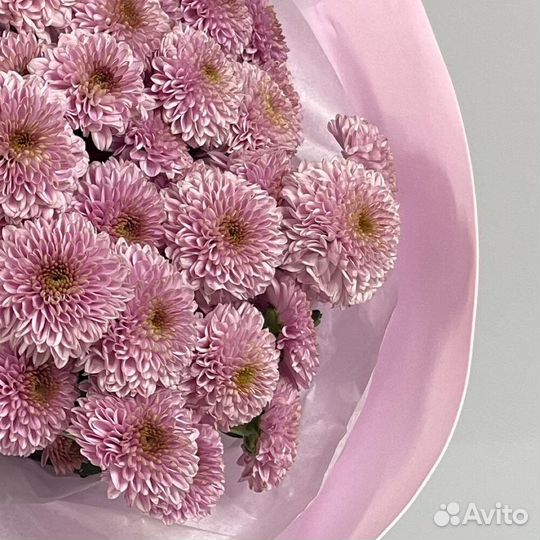 Букет хризантема сантини