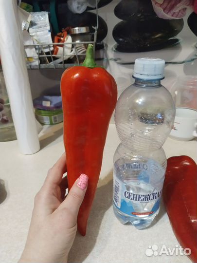 Перец сладкий Рамиро