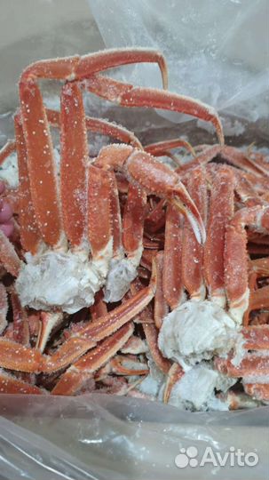 Краб Стригун коробки по 4кг