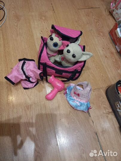 Собачка чичилав