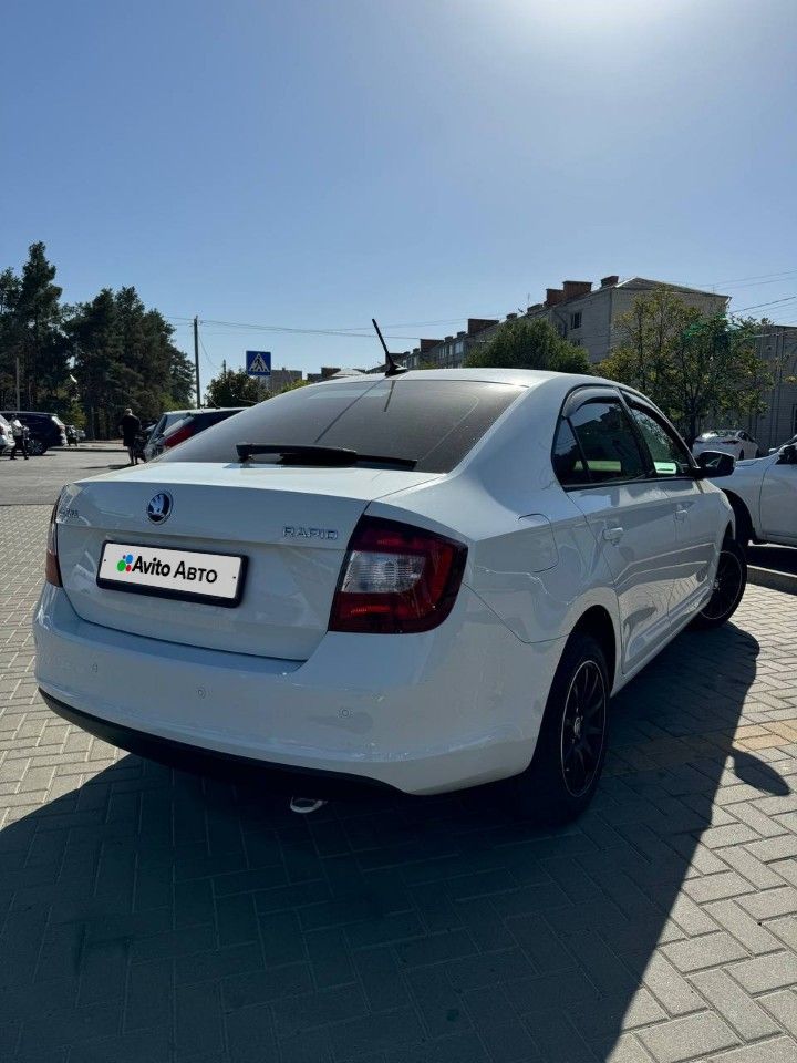 Skoda Rapid: фото владельца