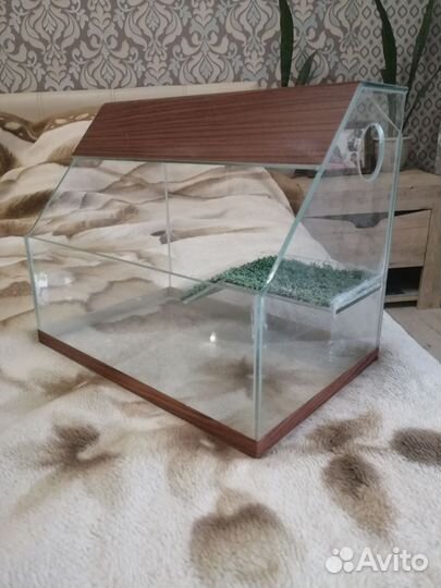 Аквариум(террариум)