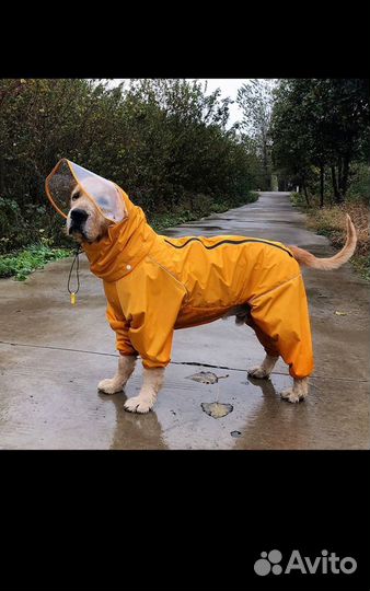 Комбинезон, дождевик на собаку