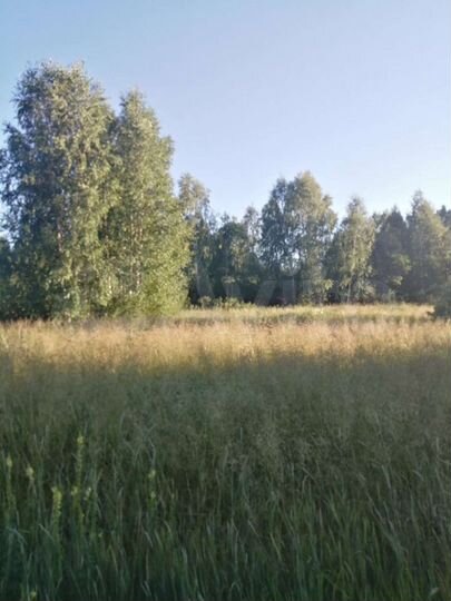 Участок 20 сот. (ИЖС)