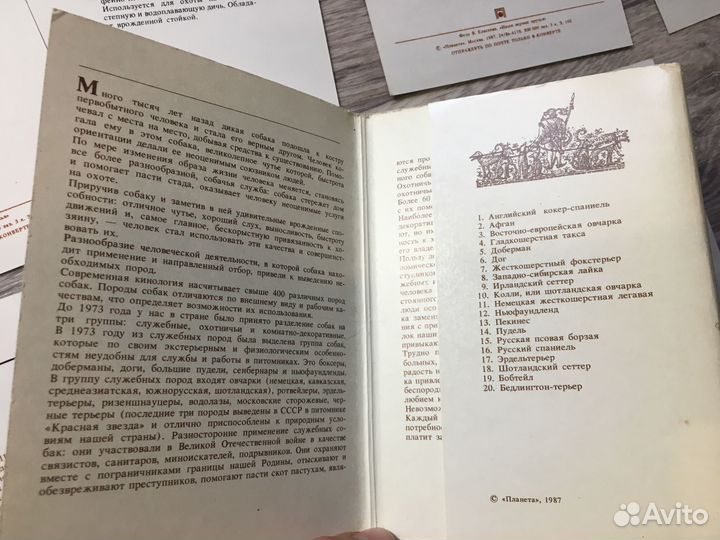 Открытки Наши верные друзья Собаки 19 из 20, 1987