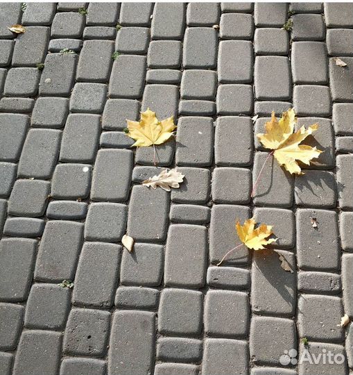 «Старый город»