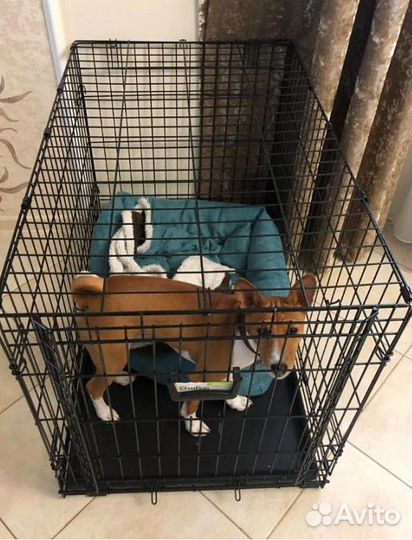 Клетка для собак