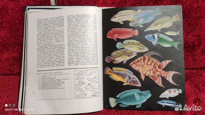Книга Жизнь животных 2 тома СССР