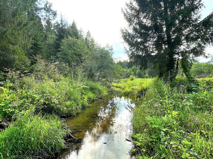 Участок 13,2 сот. (ИЖС)