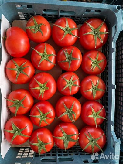 Овощи фрукты 1-2 сорт