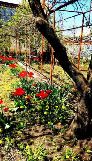 Дача 104 м² на участке 5,5 сот.