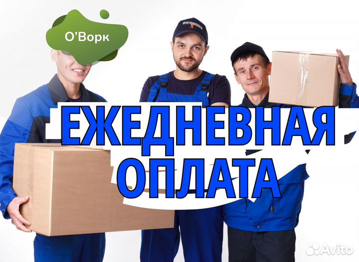 Грузчик. Код:ob694