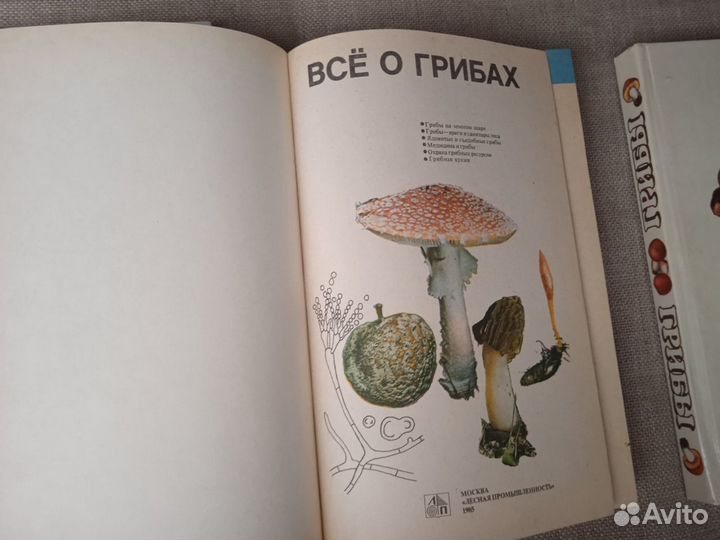 Книги о лекарственных растениях, птицах, грибах