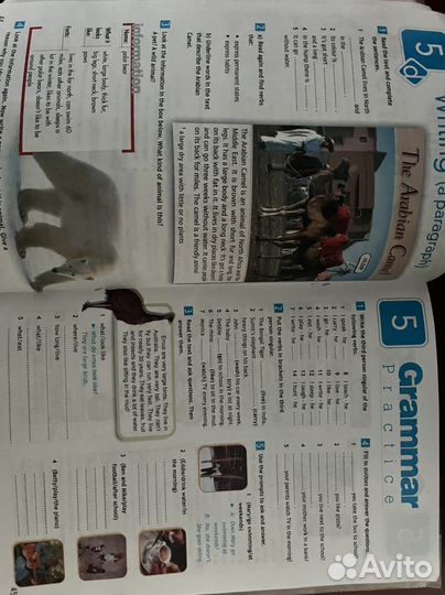 Рабочая тетрадь