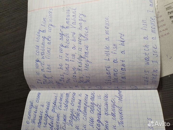 Книга на англ Юлия Пучкова 