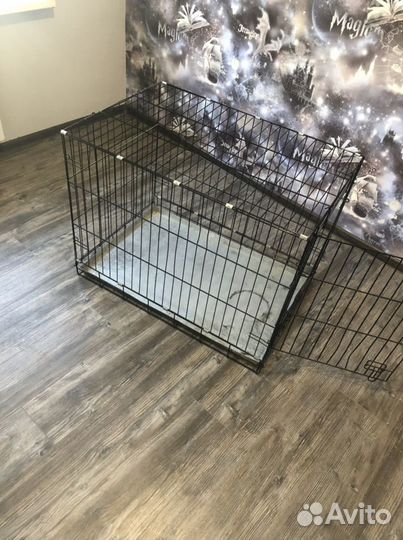 Аренда клетка для собак