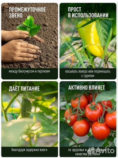 Навоз коровий