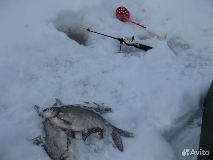 Рыбалка на селигере зимой и летом