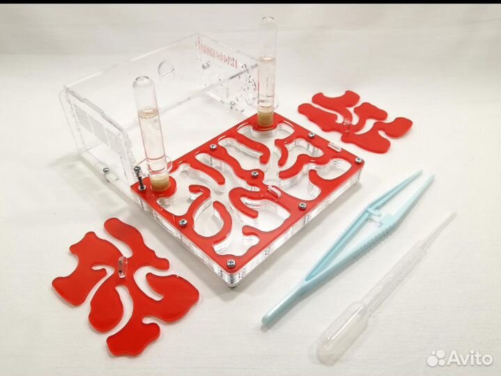 Формикарий