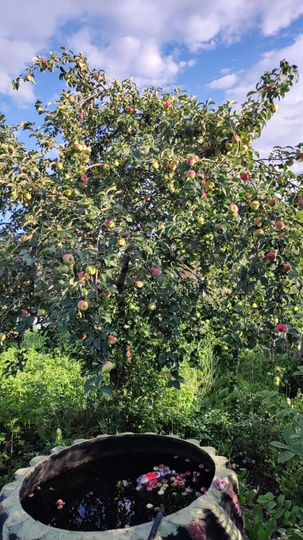 Дом 12 м² на участке 4 сот.