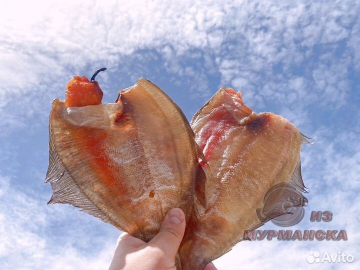 Камбала ерш