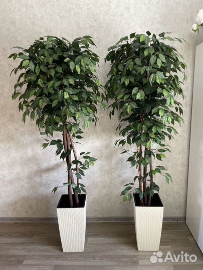 Искусственное дерево Фикус Пальма Лимон Глициния