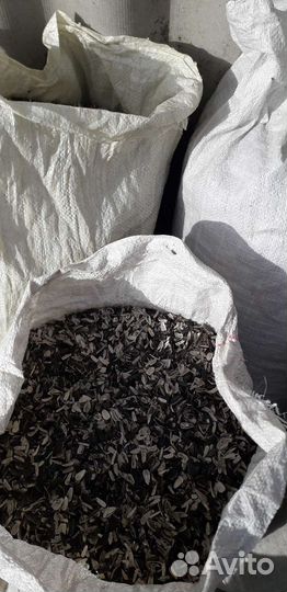 Грибные блоки