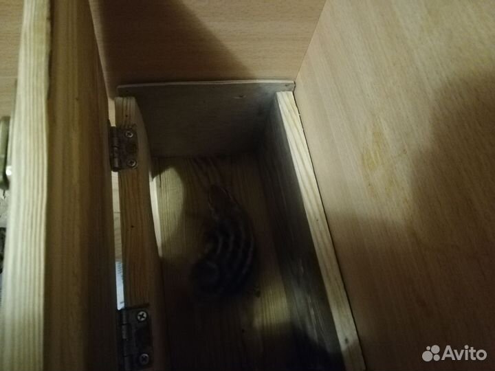 Клетка (витрина) для грызунов