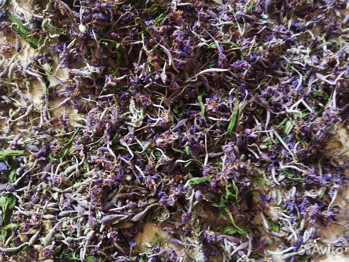 Иван-Чай ферментированный листовой 2023