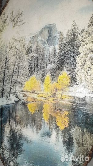 Картина на спиле сосны 