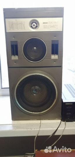 Колонки Вега 25ас 109-1