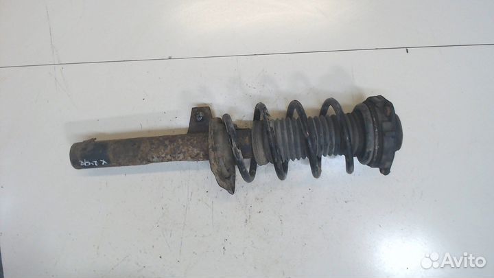 Амортизатор подвески Seat Toledo 3, 2005