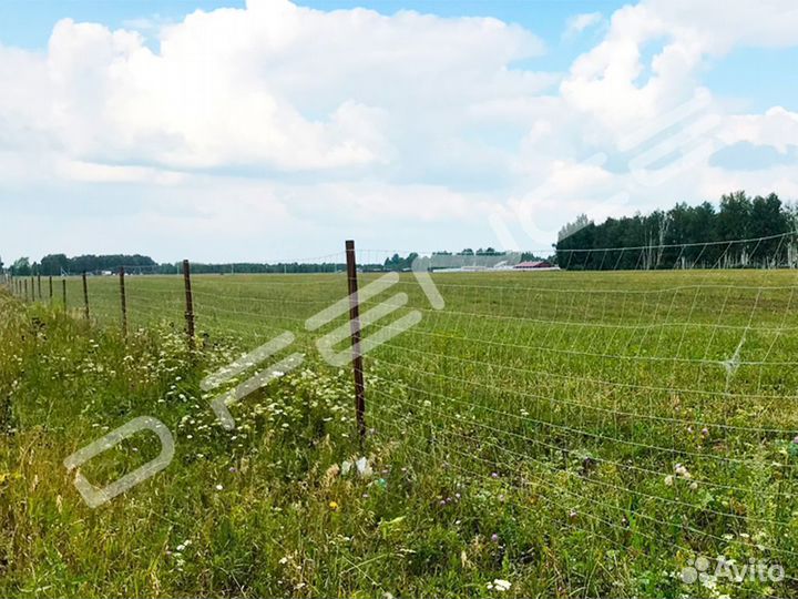 Столб 60х40х1,2мм. L 2м., для шарнирной сетки