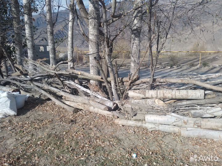 Дрова колотые