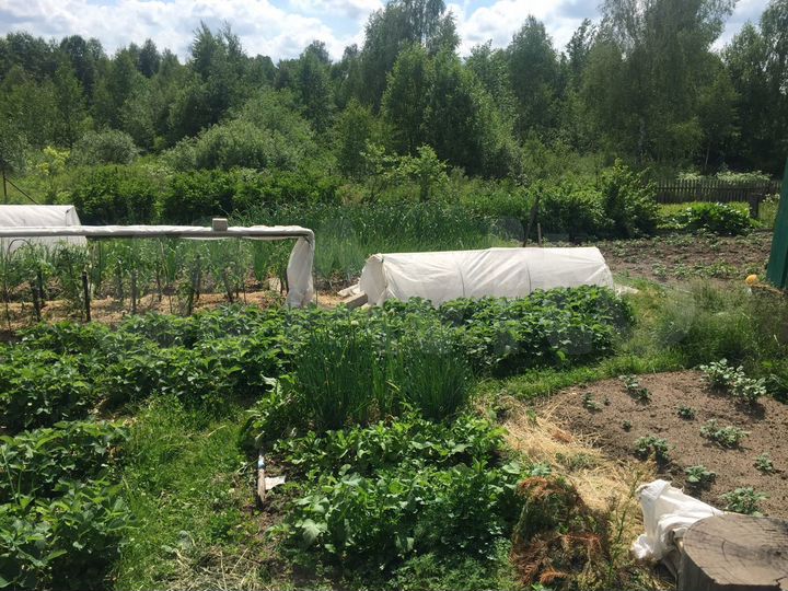 Дом 49 м² на участке 20 сот.