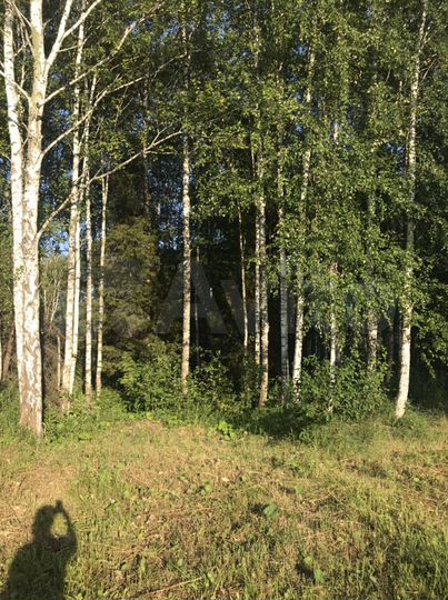 Участок 18 сот. (СНТ, ДНП)