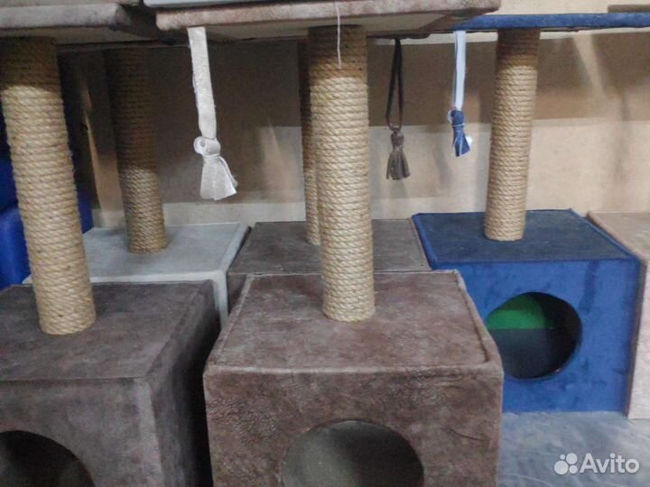 Когтеточка