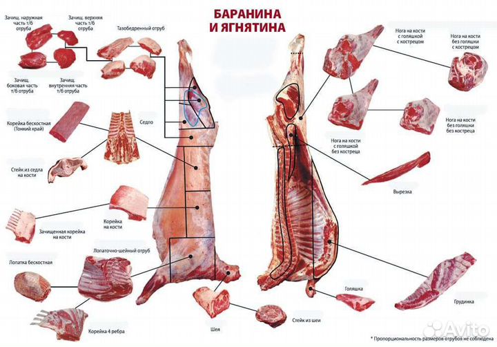 Баранина