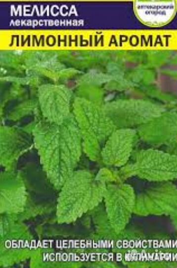 Любисток, Душица, Мята и Мелисса лимонная