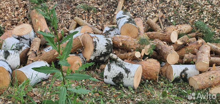 Дрова берёза и сосна цена за все