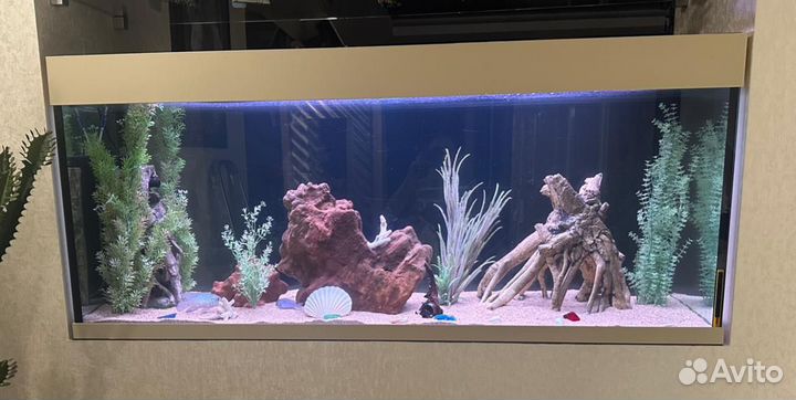 Аквариум