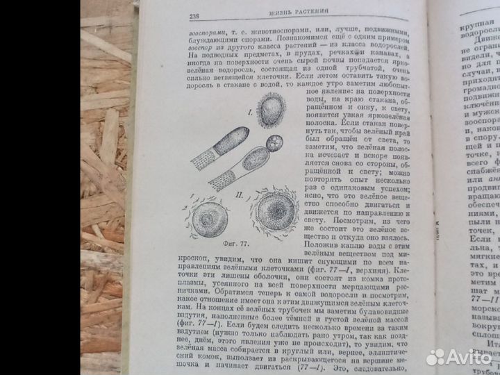 Жизнь растений. Тимирязев. 1949 г