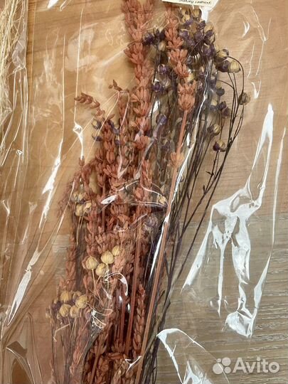 Сухоцветы для творчества