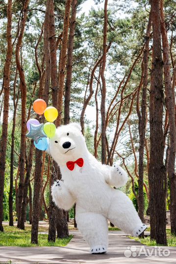 Поздравление от Белого Мишки